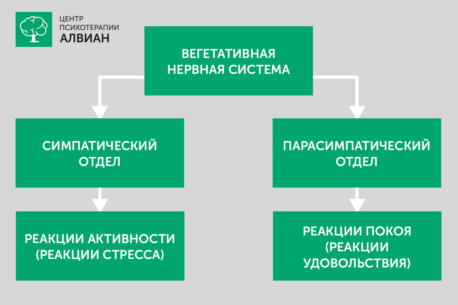 Самопомощь при панических атаках
